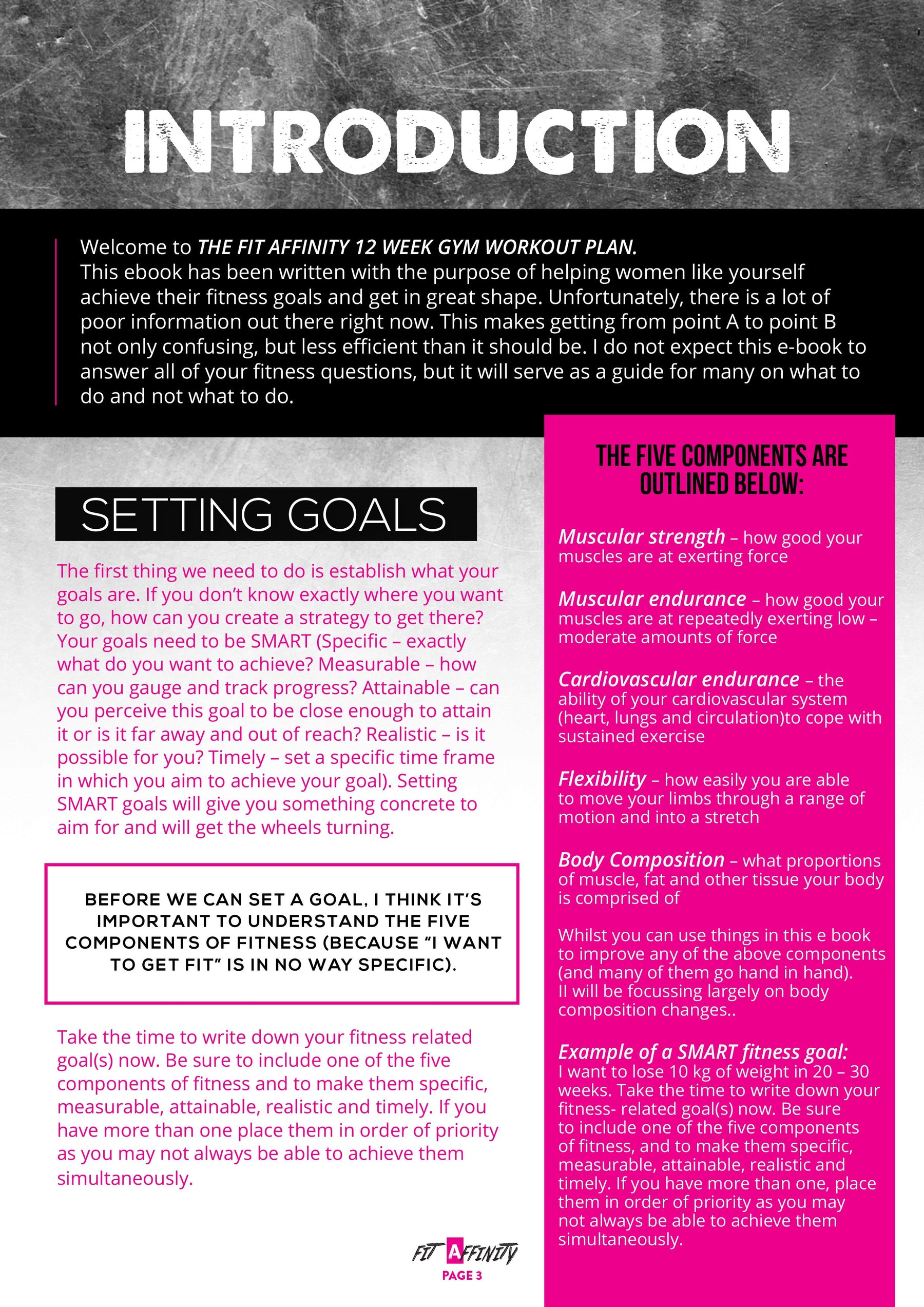 12 Week Gym Workout Plan - Fit Affinity
