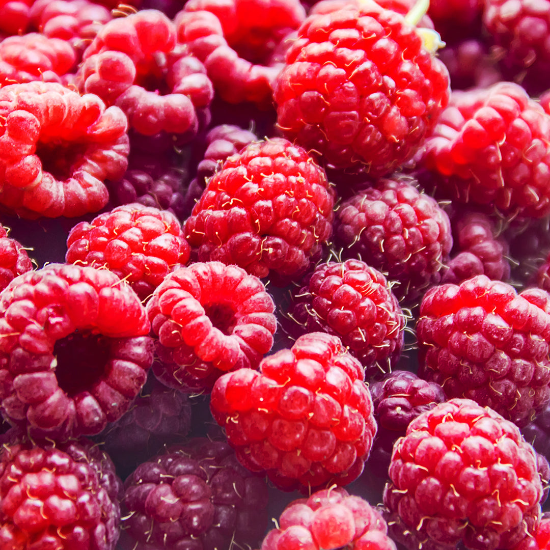 Raspberry Revelations: Calorie Count and Health Benefits Raspberry Revelations: Calorie Count and Health Benefits