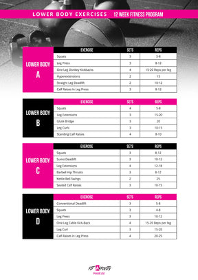 12 Week Lower Body Workout Plan - Fit Affinity